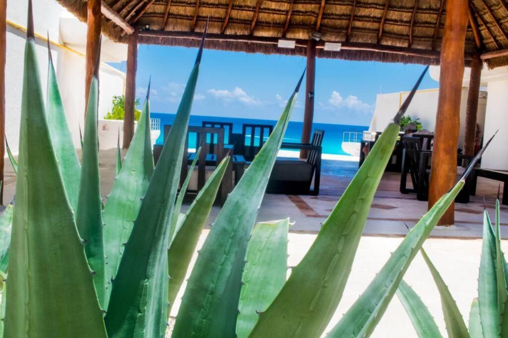 Villas Marlin 108, A Pie De Playa, Albercas, Jacuzi, Ubicacion Inmejorable Канкун Екстер'єр фото