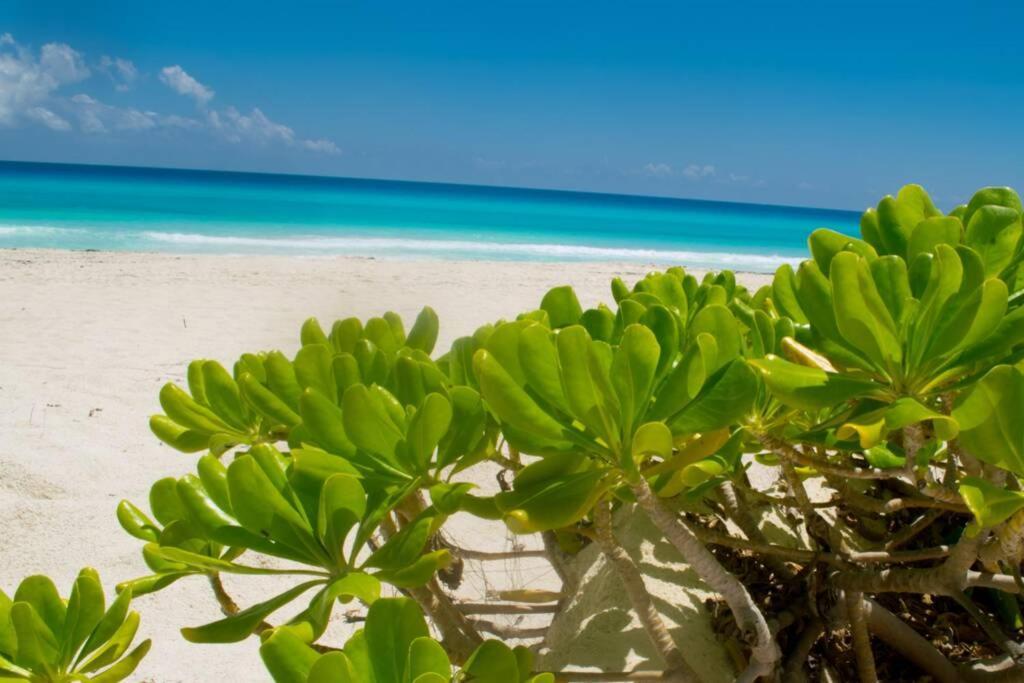 Villas Marlin 108, A Pie De Playa, Albercas, Jacuzi, Ubicacion Inmejorable Канкун Екстер'єр фото